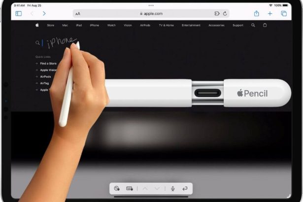 Main tenant un Apple Pencil sur un iPad affichant un site web.