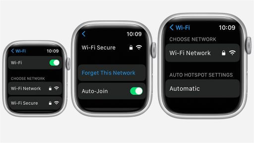 quelques points essentiels pour naviguer sur Internet depuis lapple watch
