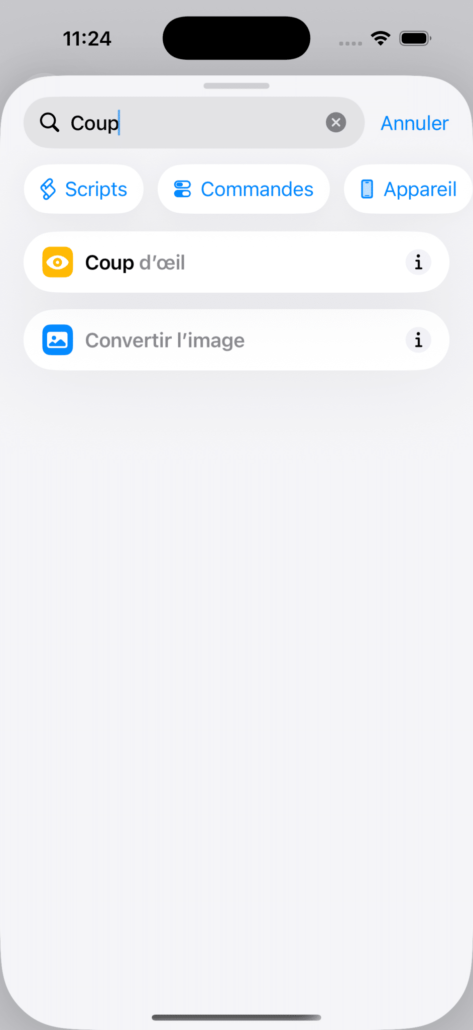 Recherche Coup d'oeil dans les actions Raccourcis
